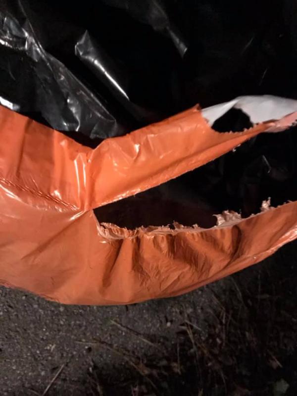 Trash clash: Why the town won’t dump orange bags | Dartmouth